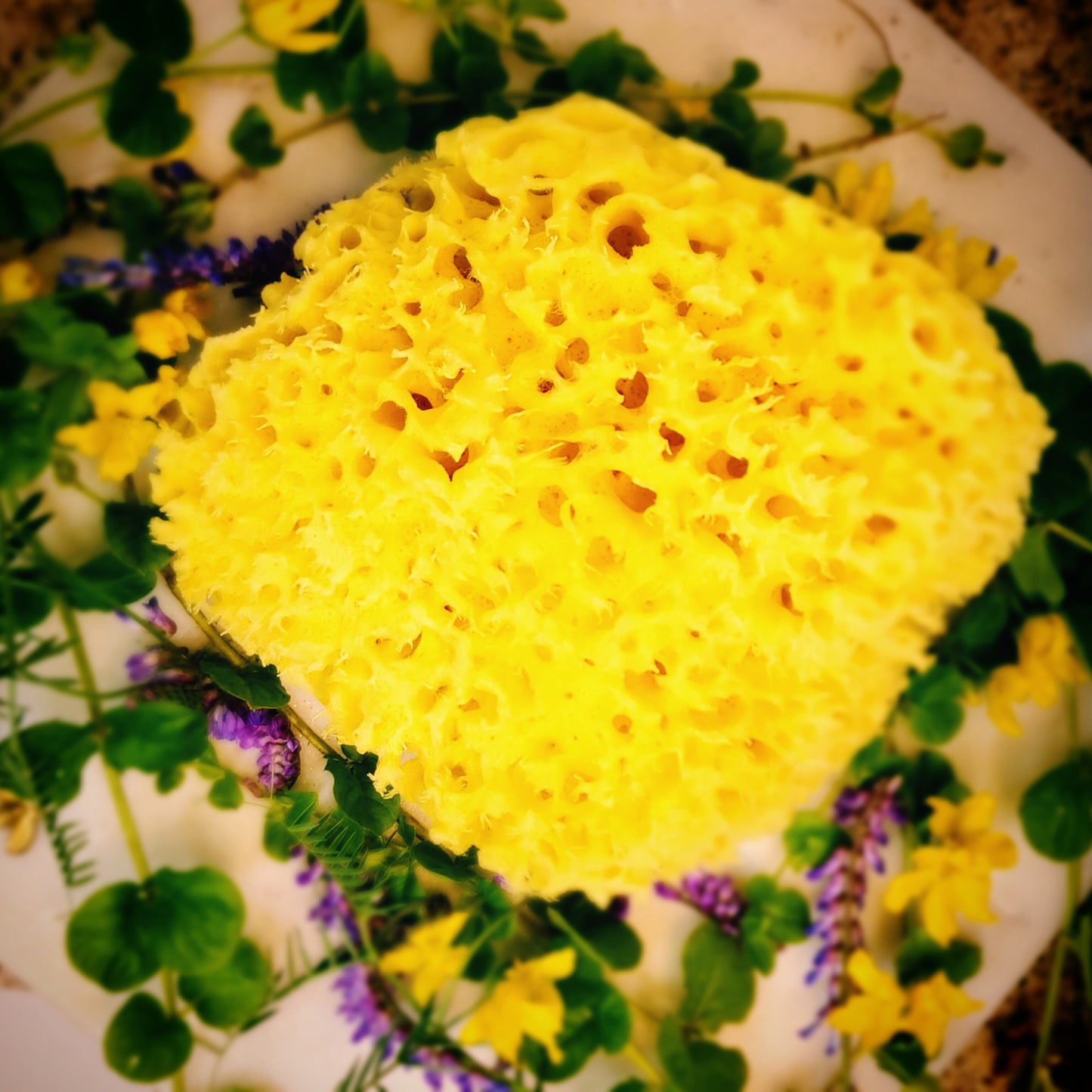 Premium HoneyComb Mediterranean Sea Sponges